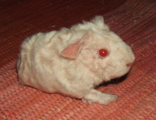 Vrh_2 05.JPG