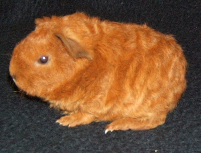 Fiona01.JPG