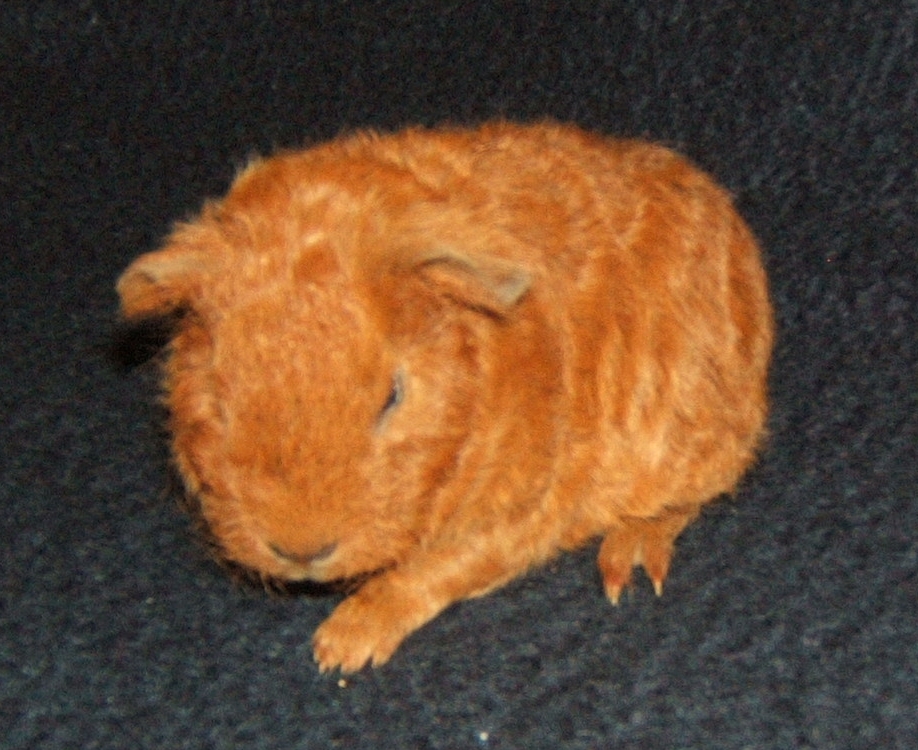 Fiona02.jpg