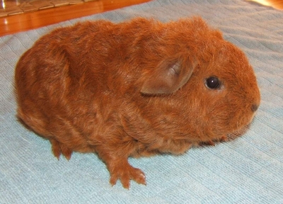 Fiona.JPG