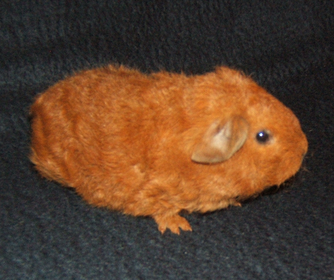 Fiona 3 tydny 01.jpg