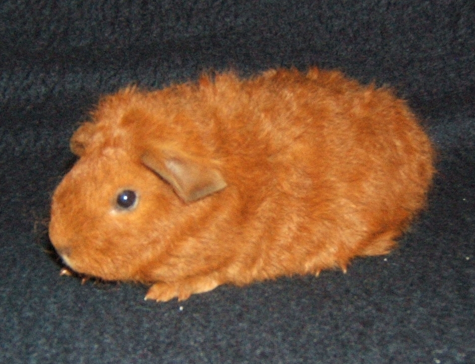 Fiona 3 tydny 02.jpg