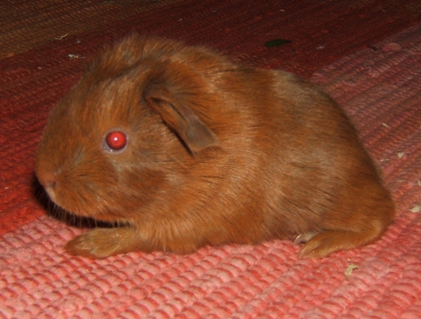 Vrh_2 02.JPG